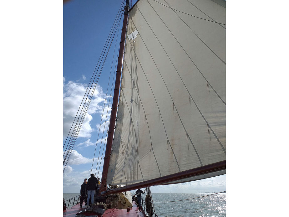 Segeltörn auf dem Ijsselmeer (Foto: Alexander von Rüden)